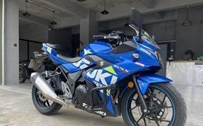 铃木GSX250R改装转向灯价格解析（了解铃木GSX250R改装转向灯的成本和价值）