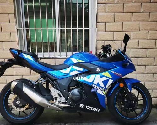 铃木GSX250R改装转向灯价格解析（了解铃木GSX250R改装转向灯的成本和价值）-第3张图片-好赞用车